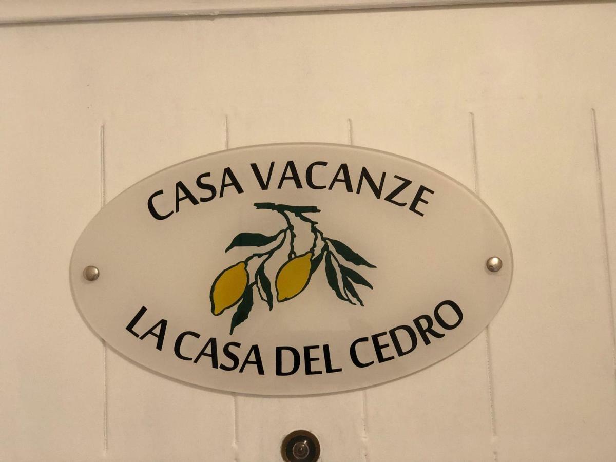 La Casa Del Cedro
